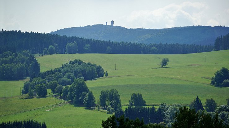 Český les, konkrétně území mezi Tachovem a německými hranicemi, si milovníci divočiny užijí.