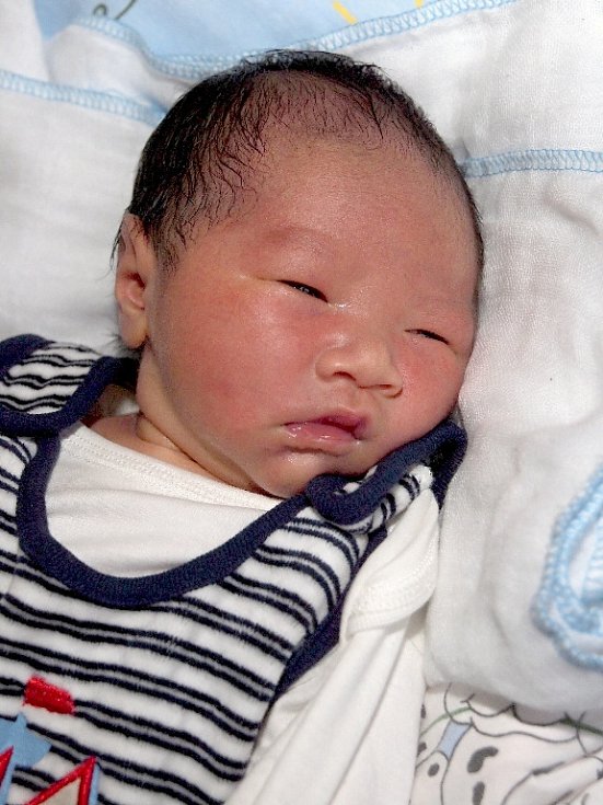 TOAN NGO UY přišel na svět v sobotu 22. listopadu v 8.51 hodin. Při narození vážil 3 820 gramů a měřil 53 centimetrů. Z malého synka se těší doma v Chebu ... - toan-ngo-uy-sam-na-vyys_galerie-980