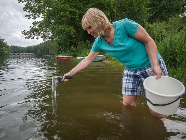 Hygienici vyhlásili zákaz koupání v rybníku Medlov