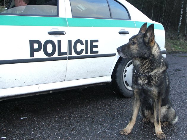 Policisté dopadli muže, který se vloupal do prodejny