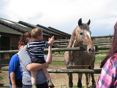 OBRAZEM: Děti si užily na ranči jízdu na koni