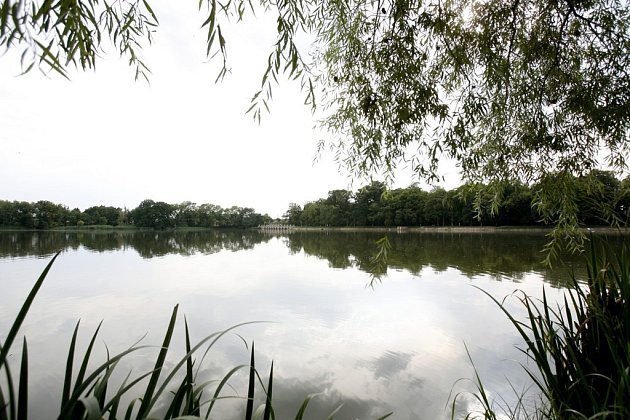 Na Vysočině má šest rekreačních rybníků horší vodu kvůli sinicím