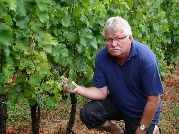Stárnu rychleji než moje vinice, říká vinař Lubomír Lampíř