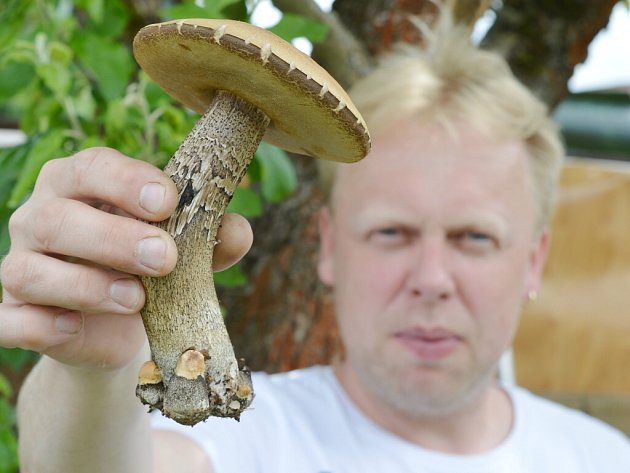 Houbaři už nosí z lesů hřibovité houby