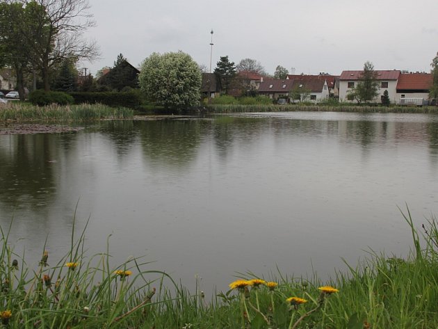 Za vyčištění rybníka zaplatí obec přes 10 milionů korun