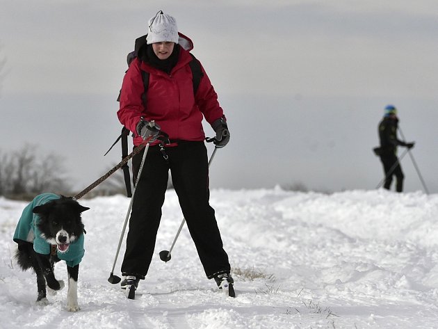 Se zimní sezonou jsou letos na Žďársku spokojeni jak lyžaři, tak i hoteliéři