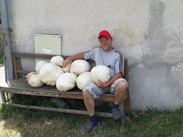 Losenický houbař i letos našel rekordní úrodu