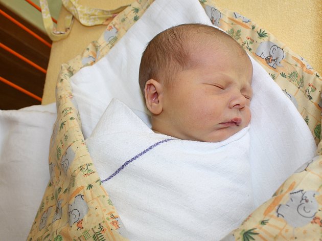 Podívejte se na další miminka narozená na Žďársku