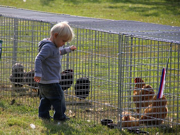 Areál zemědělské školy obsadilo domácí zvířectvo