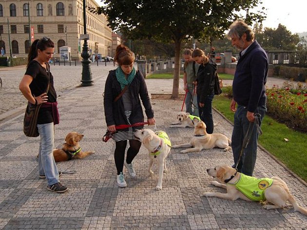 Žďárské náměstí bude cvičištěm pro nevidomé