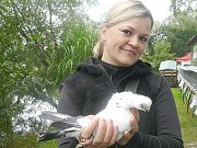 CHOVATELKA a posuzovatelka holubů Drahomíra Hrubá s krátkozovým druhem holuba, který na Povltavské výstavě v Sedlčanech získal čestnou cenu.