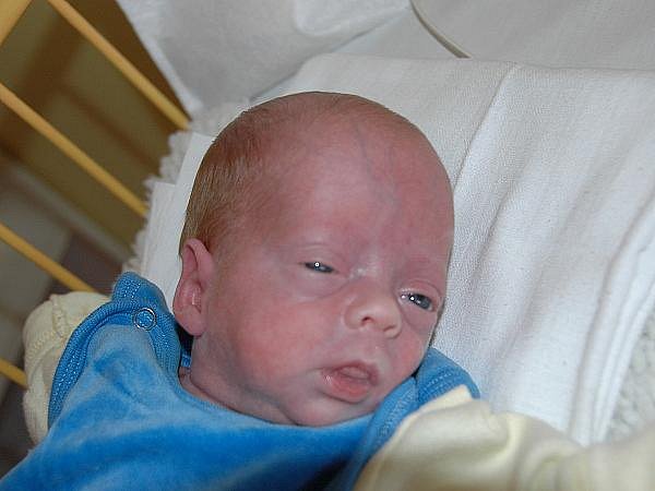 <b>Veronika Hošková</b>, porodila v ústecké porodnici dne 4. 7. 2011 (15.41) - 1135bb_hoskova_galerie-980