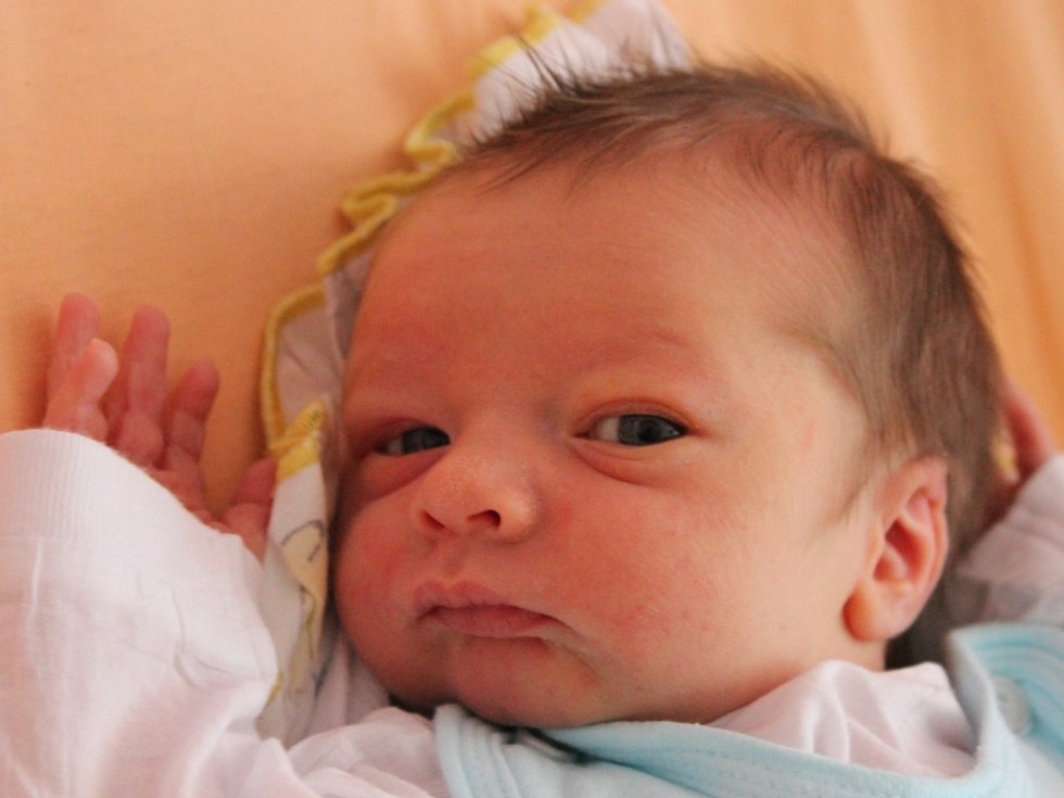 <b>Petr Červenka</b> se narodil v ústecké porodnici 1.6.2015 (17.39) mamince Ivě ... - cervenka_galerie-980