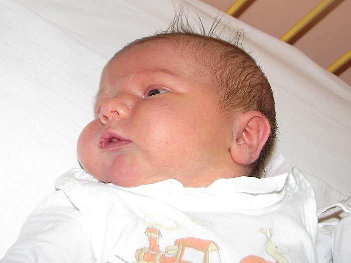 Kateřina Dlouhá, porodila v ústecké porodnici dne 31. 12. 2010 (14.42) - bb01_dlouha_katerina_1_galerie-980