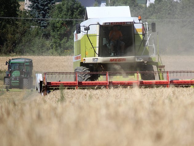 Už je to sečtené: Sucho úrodu ozimého ječmene na Třebíčsku zkazilo