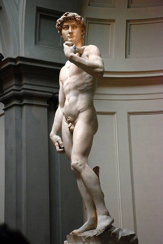 Michelangelův David měří 5 metrů a 17 centimetrů. Socha vznikla z jediného kusu vzácného mramoru. Michelangelo na ní pracoval tři roky. Originál je k vidění ve florentské Galleria dell'Accademia.