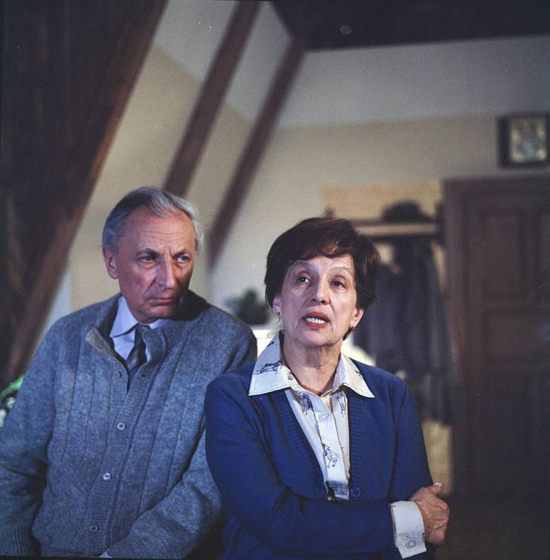 Dana Medřická a Ladislav Chudík