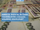 Bojíte se, že Česká republika kvůli rostoucím schodkům zbankrotuje? Hlasujte v anketě uvnitř článku.