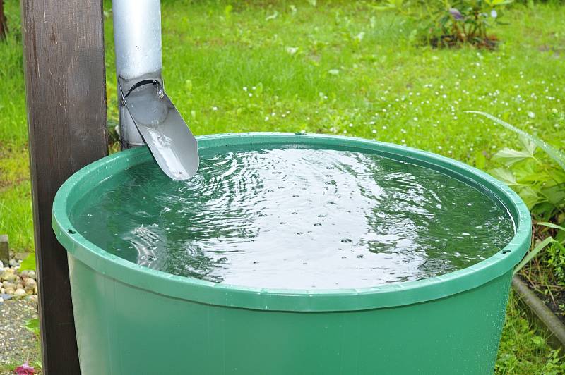 Zalévání pitnou vodou je teď v některých obcích na Blanensku zakázané. Ilustrační foto. 