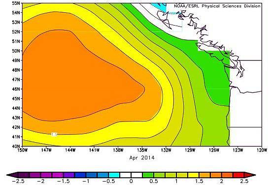 Tepelná anomálie přezdívaná skvrna či sliz u pobřeží Washingtonu a Oregonu v dubnun 2014