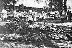 Německá komise pro vyšetření masakru ve Vinnycji v roce 1943 na místě činu