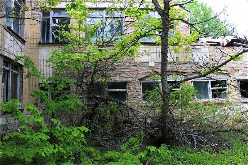Od černobylské havárie uplynulo 33 let. V uzavřené zóně se dnes daří fauně, budovy postupně pohltila příroda