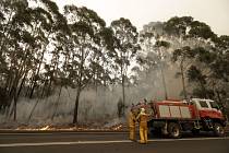 Hasiči bojují s lesním požárem u australského města Burrill Lake na snímku z 5. ledna 2020