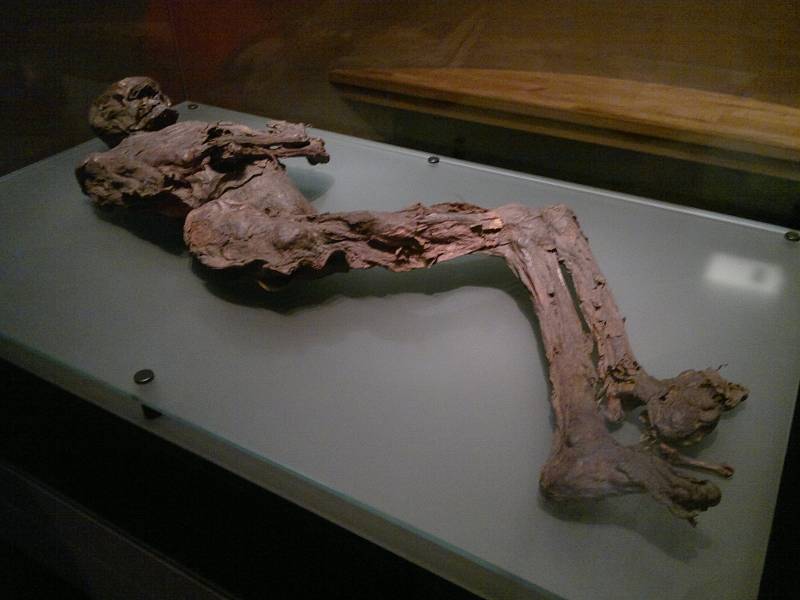 Celkový pohled na mumii Galaghského muže v Národním muzeu Irska