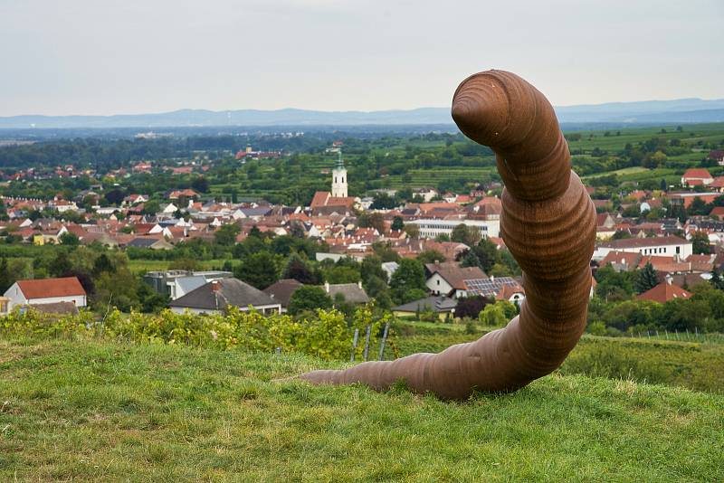 Vinařská turistika v údolí Dunaje. Světově známá oblast Wachau a sousední vinařské městečko Langelois lákají návštěvníky z Česka.