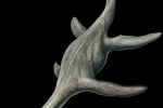 Jedním z dávných dinosaurů, který připadá v úvahu, je Plesiosaurus