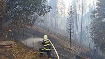 S plameny v Českém Švýcarsku bojují desítky jednotek. Na snímku hasiči z SDH Roudnice nad Labem