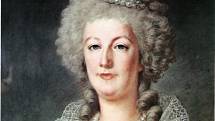 Marie Antoinetta v roce 1790. Francouzská královna byla životní láskou hraběte von Fersena. Pro záchranu jejího života po vypuknutí Francouzské revoluce podnikl mnoho kroků, nakonec se mu to ale nepovedlo. Její poprava ho hluboce zasáhla.