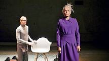 S Martinem Pechlátem v představení Soukromé rozhovory hraje podle vlastního scénáře manželku, která se přizná k nevěře.