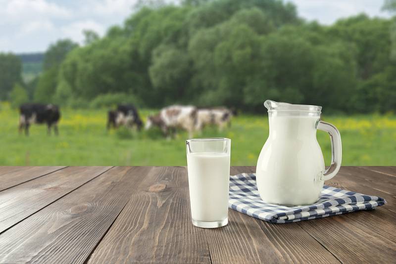 Které potraviny budou povinně české? Například mléko a mléčné výrobky