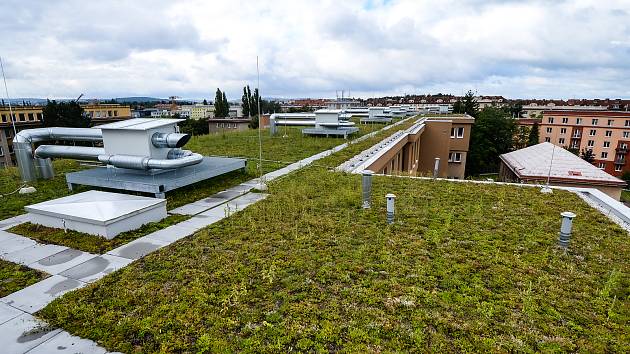 Zelené střechy v Plzni - Paluba Hamburk, 20. ZŠ a Fakultní nemocnice