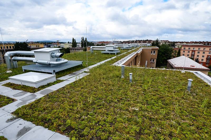 Zelené střechy v Plzni - Paluba Hamburk, 20. ZŠ a Fakultní nemocnice