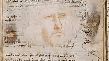 Pravděpodobný da Vinciho autoportrét, zachycující šilhavost