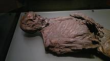 Mumie Galaghského muže byla objevena v bažinách v roce 1821 a je vystavena v irském Národním muzeu v Dublinu