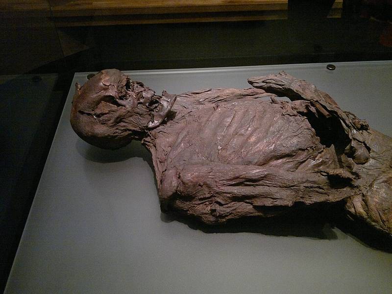 Mumie Galaghského muže byla objevena v bažinách v roce 1821 a je vystavena v irském Národním muzeu v Dublinu