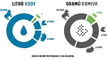 Zdroje nutné pro produkci 1 kg bílkovin.