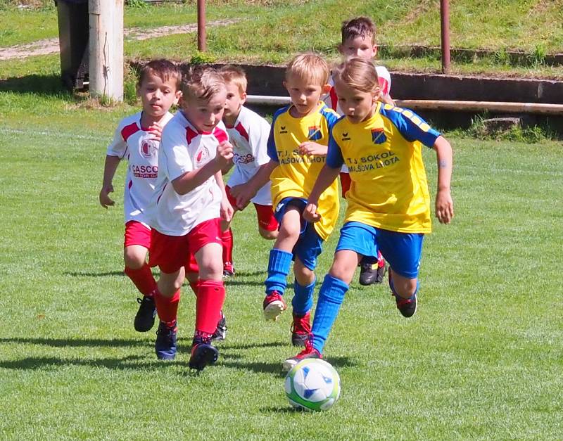 Na rozloučenou s fotbalovou sezonou v červnu 2019 uspořádal Okresní fotbalový svaz Hradec Králové Memoriál Josefa Součka minipřípravek pro nejmladší adepty fotbalu.
