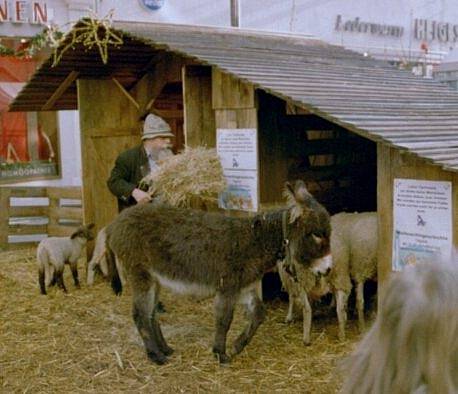 Vánoční trhy v německém Esslingenu, jejichž součástí jsou "jesličky" s živými zvířaty