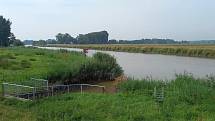 Cesta téměř holandskou krajinou podél řeky Ost k ústí Labe