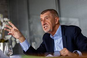 Poslanec a šéf hnutí ANO Andrej Babiš