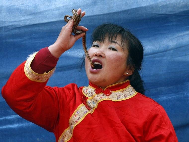 Umělkyně se připravuje spolknout živého hada na oslavách nového roku v Pekingu.