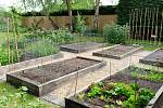 Jak velká by měla být užitková zahrada? Odborníci tvrdí, že čtyřčlenné rodině postačí užitková zahrada o ploše přibližně padesáti metrů čtverečních.
