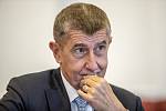 Premiér Andrej Babiš poskytl 16. června 2020 rozhovor Deníku