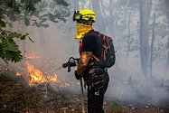 Požáry v Řecku pomáhají hasit i čeští hasiči
