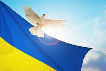 Mír na Ukrajině i za ztrátu části jejího území? Piště nám svůj názor