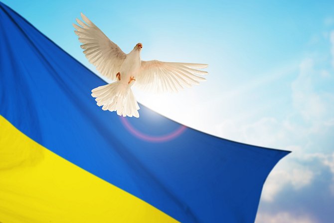 Mír na Ukrajině i za ztrátu části jejího území? Piště nám svůj názor